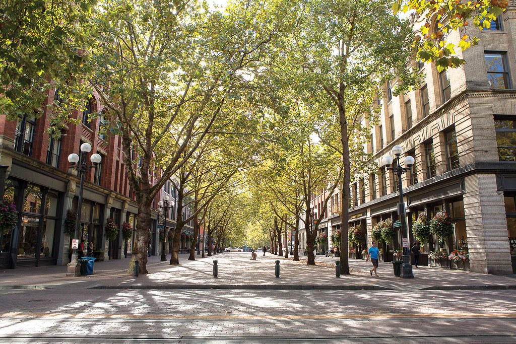 A view of Occidental Ave S. in the historic Pioneer Square district. 