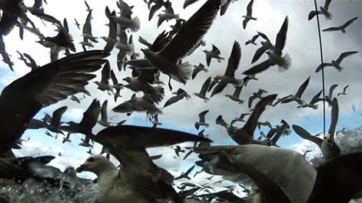 Scene from Lucien Castaing-Taylor and Véréna Paravel’s film about commercial fishing, Leviathan. Courtesy Cinema Guild.