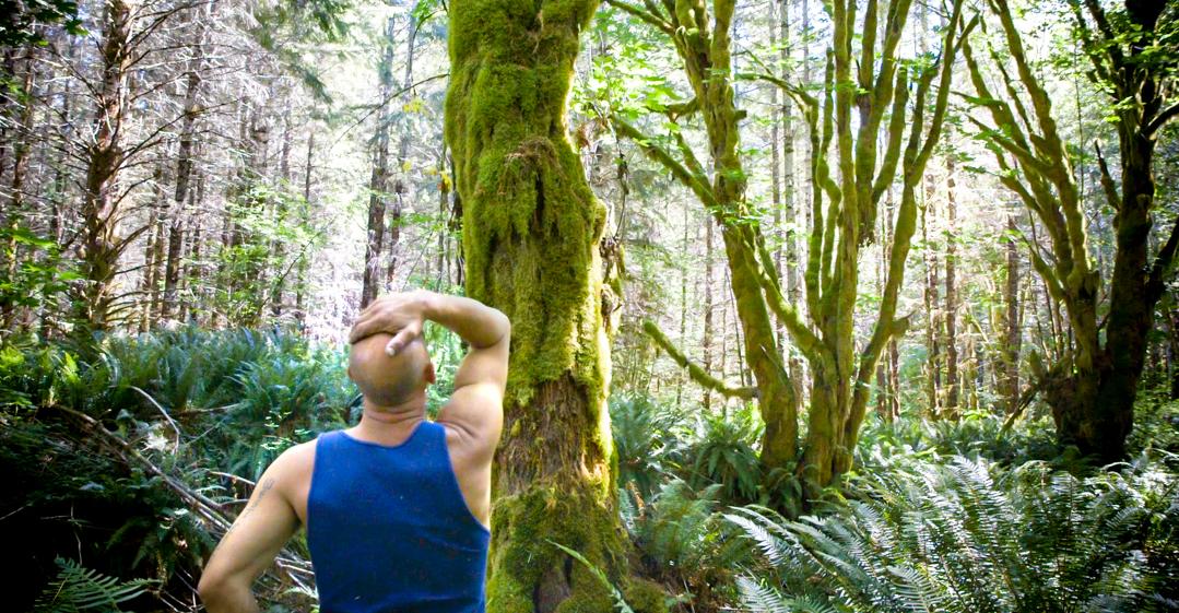 A man wearing a blue sleeveless shirt with his hand on his head looks at a maple tree in a forest.