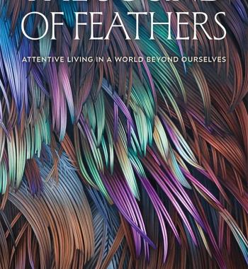 Cover of a book, multiple feathers in colors like magenta, turquoise and brown