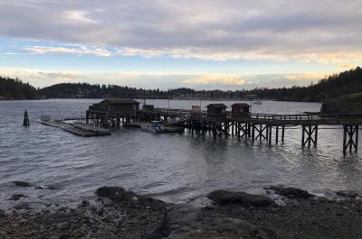 Pier at Friday Harbor Labs