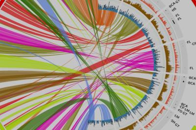 Multi-color circular genome data visualization