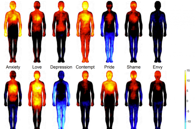 Topographic representations of where different emotions are experienced in the human body