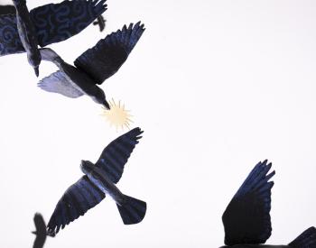 Suzzallo Library Interiors - birds