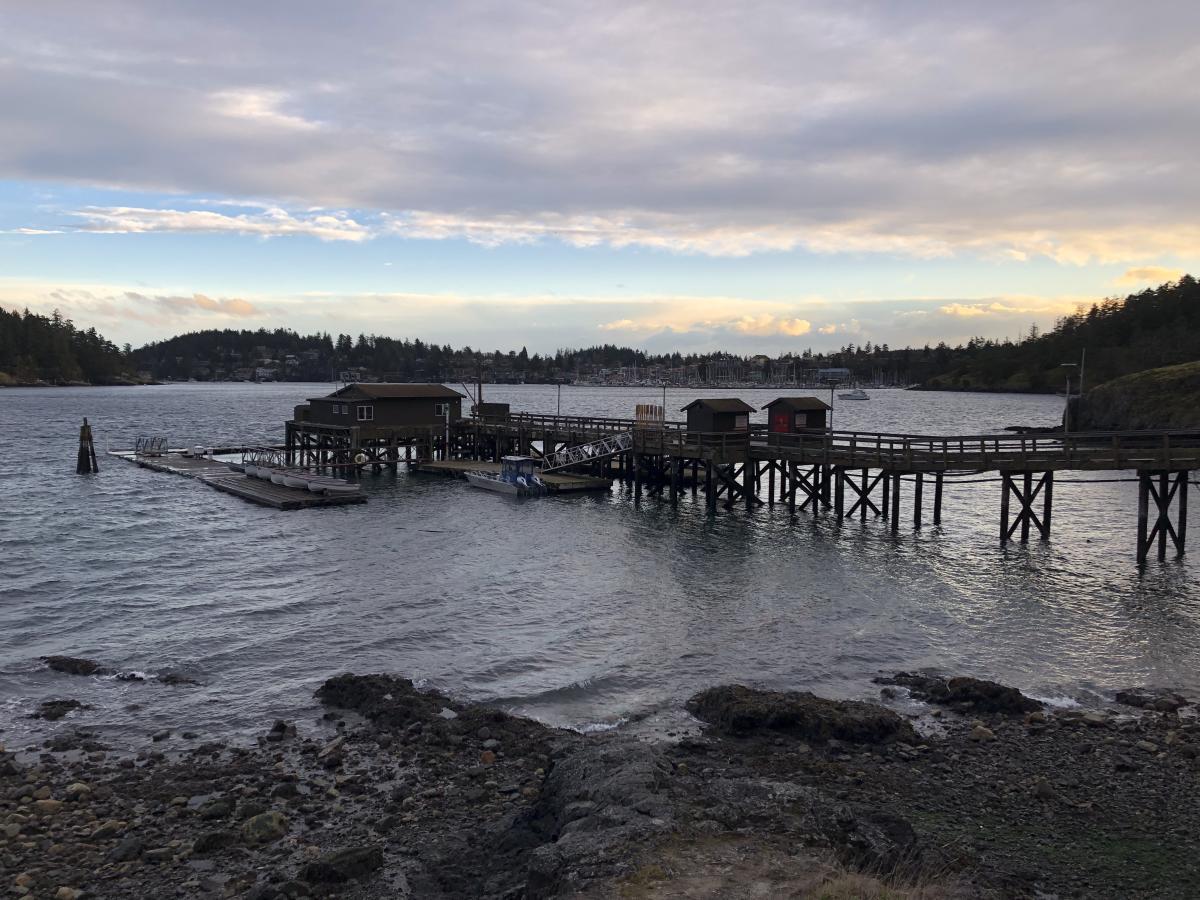 Pier at Friday Harbor Labs