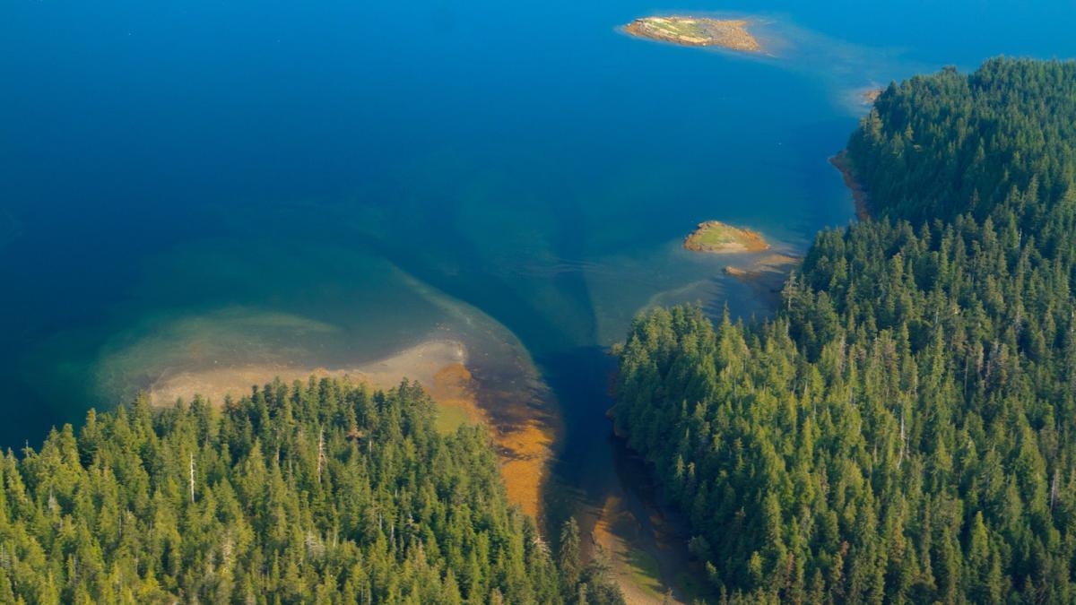 Bird's eye view of the Tongass National Forest