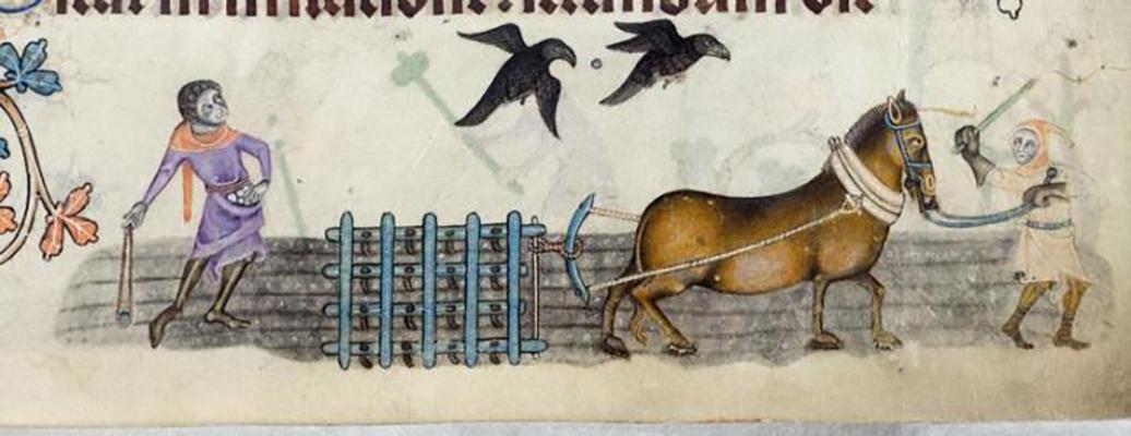 A marginal illustration of a person and horse ploughing of the fields, from the medieval manuscript the Luttrell Psalter