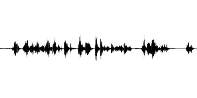 Image of a sound wave.