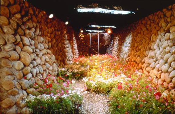 Photo of Wu Mali art installation called Secret Garden in which a flower garden rises from a path formed by two tall rock walls.