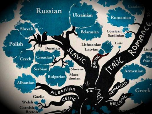 Close-up of the Slavic branch of a languages family tree