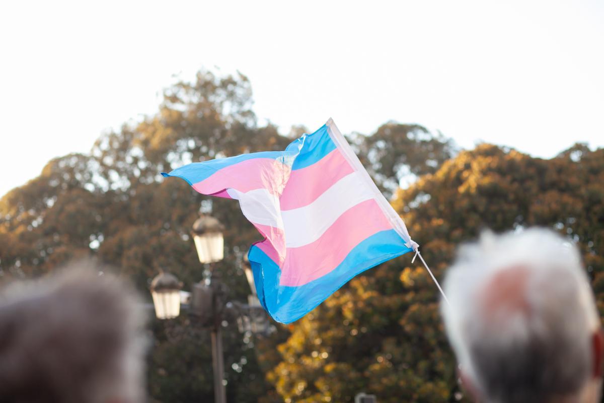 Transgender flag flying in a crowd