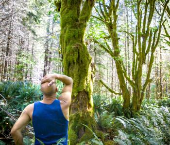 A man wearing a blue sleeveless shirt with his hand on his head looks at a maple tree in a forest.