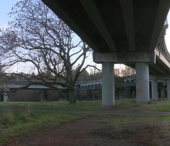 Portion of abandoned RH Thomson Expressway project, partly covered in ivy