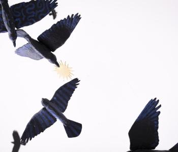 Birds from the Suzzallo Library Interiors