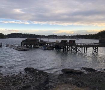 Pier at Friday Harbor Labs