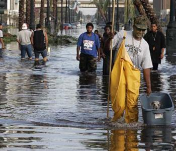 People walking through water after Hurricane Katrina. One person in the foreground is carrying a bin with a small dog in it