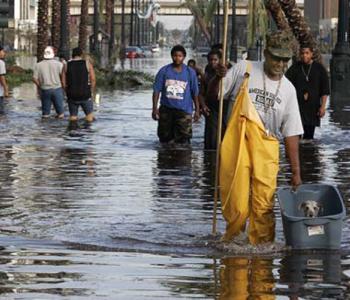 People walking through water after Hurricane Katrina. One person in the foreground is carrying a bin with a small dog in it