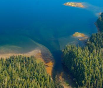 Bird's eye view of the Tongass National Forest