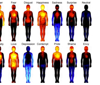 Topographic representations of where different emotions are experienced in the human body