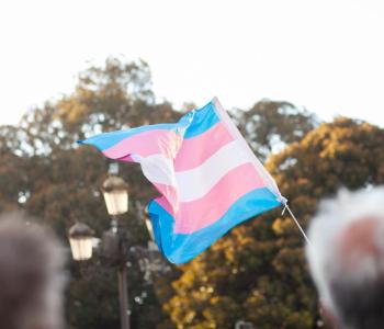 Transgender flag flying in a crowd